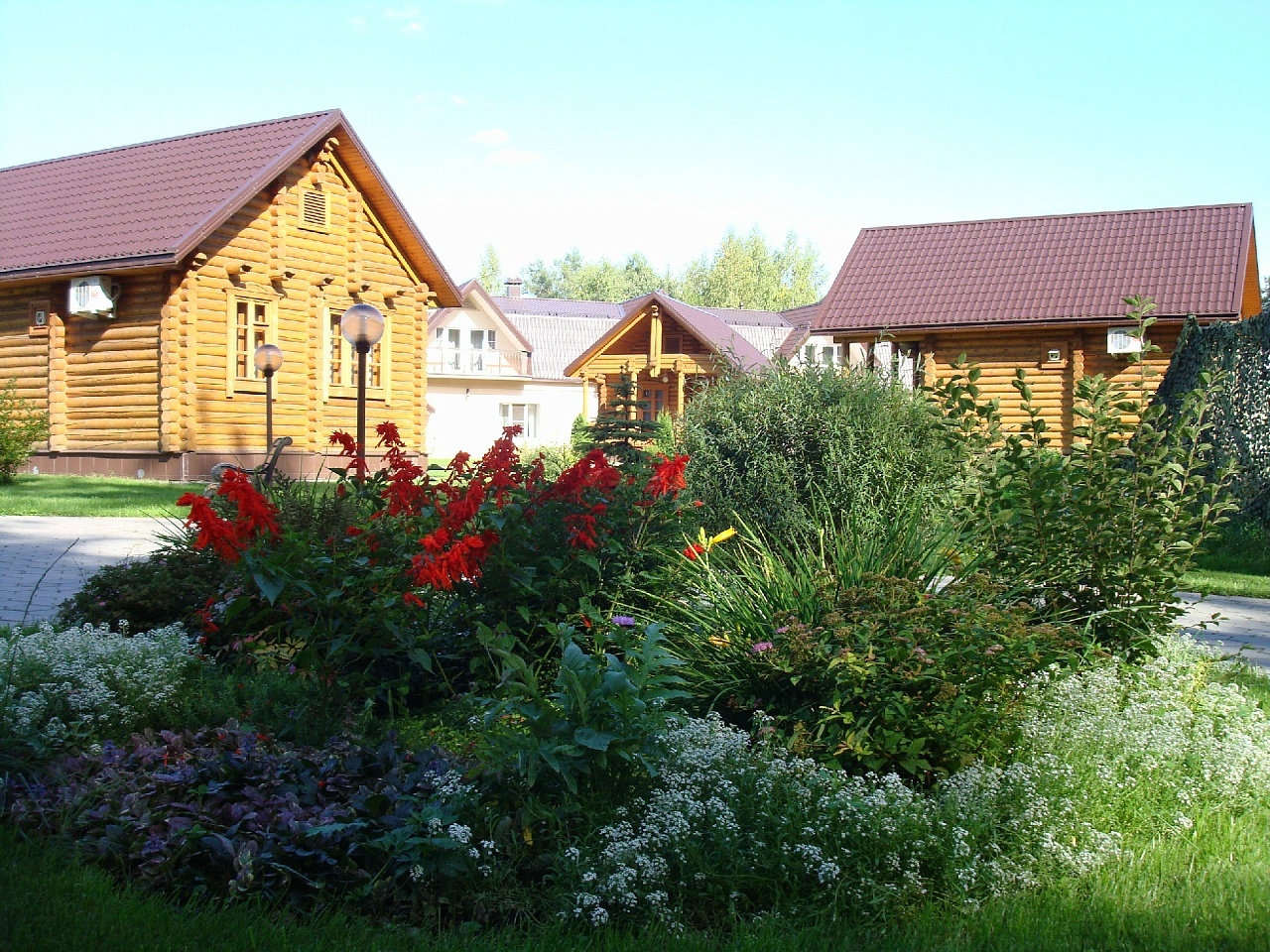 Фото Сосновый бор