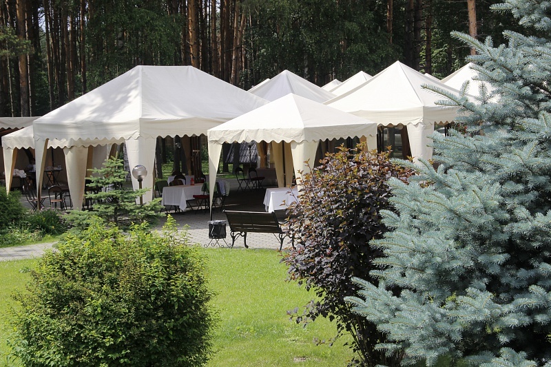 Фото Сосновый бор