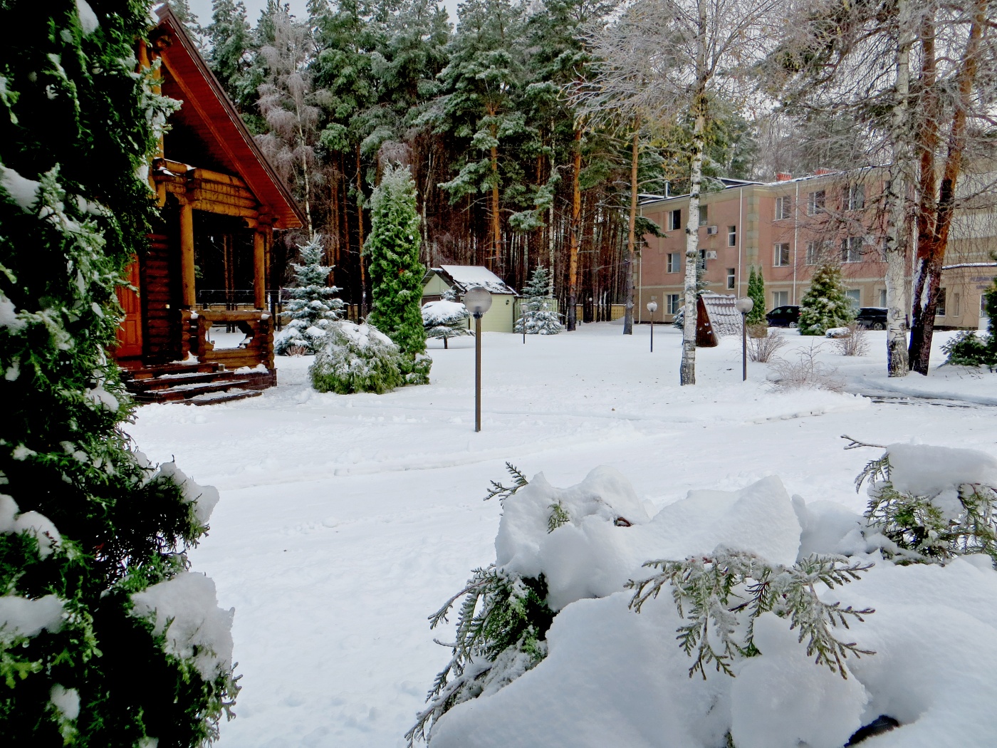 Фото Сосновый бор