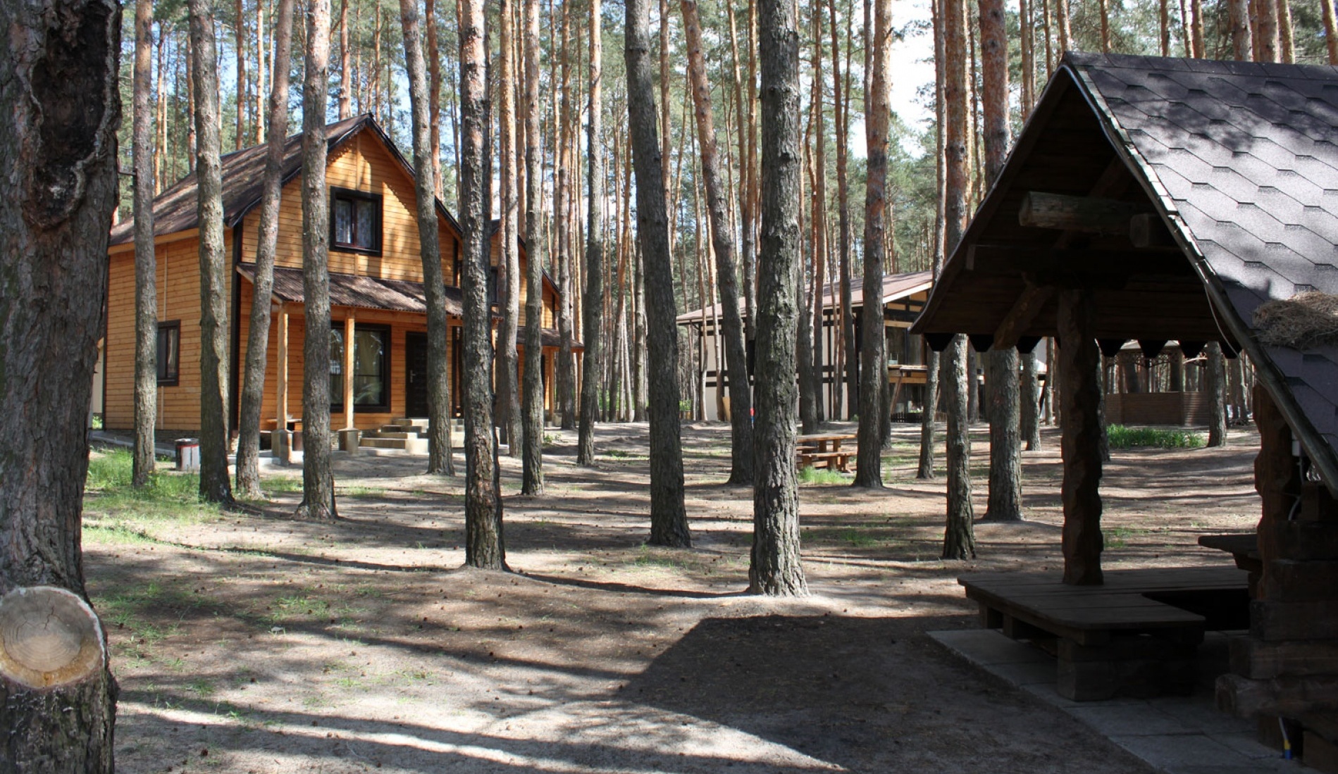 Фото Аркадия