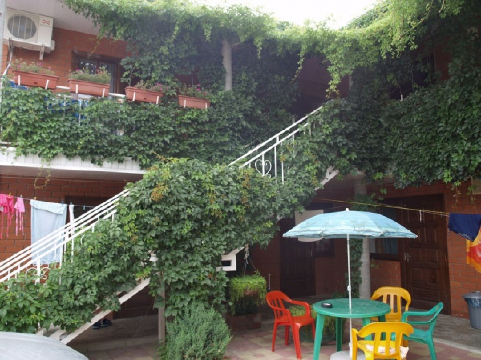 Фото Созвездие грез