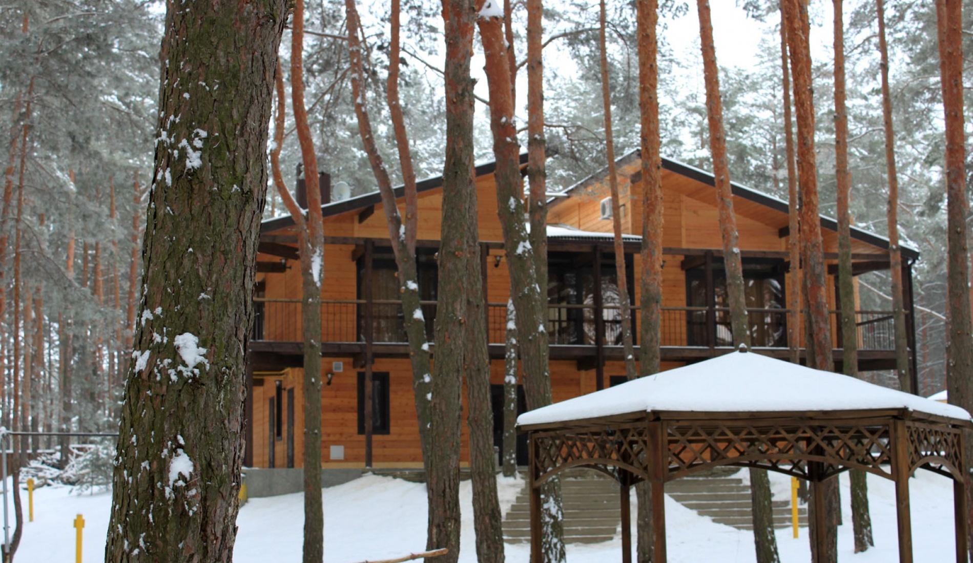 Фото Аркадия