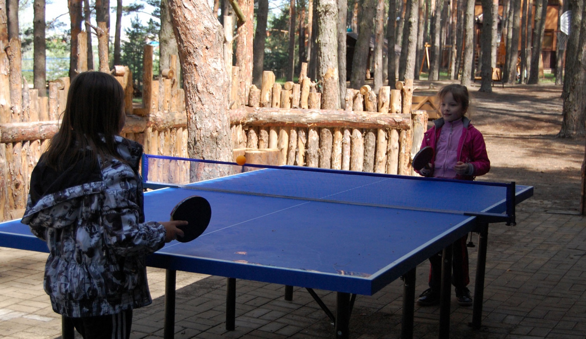 Фото Аркадия