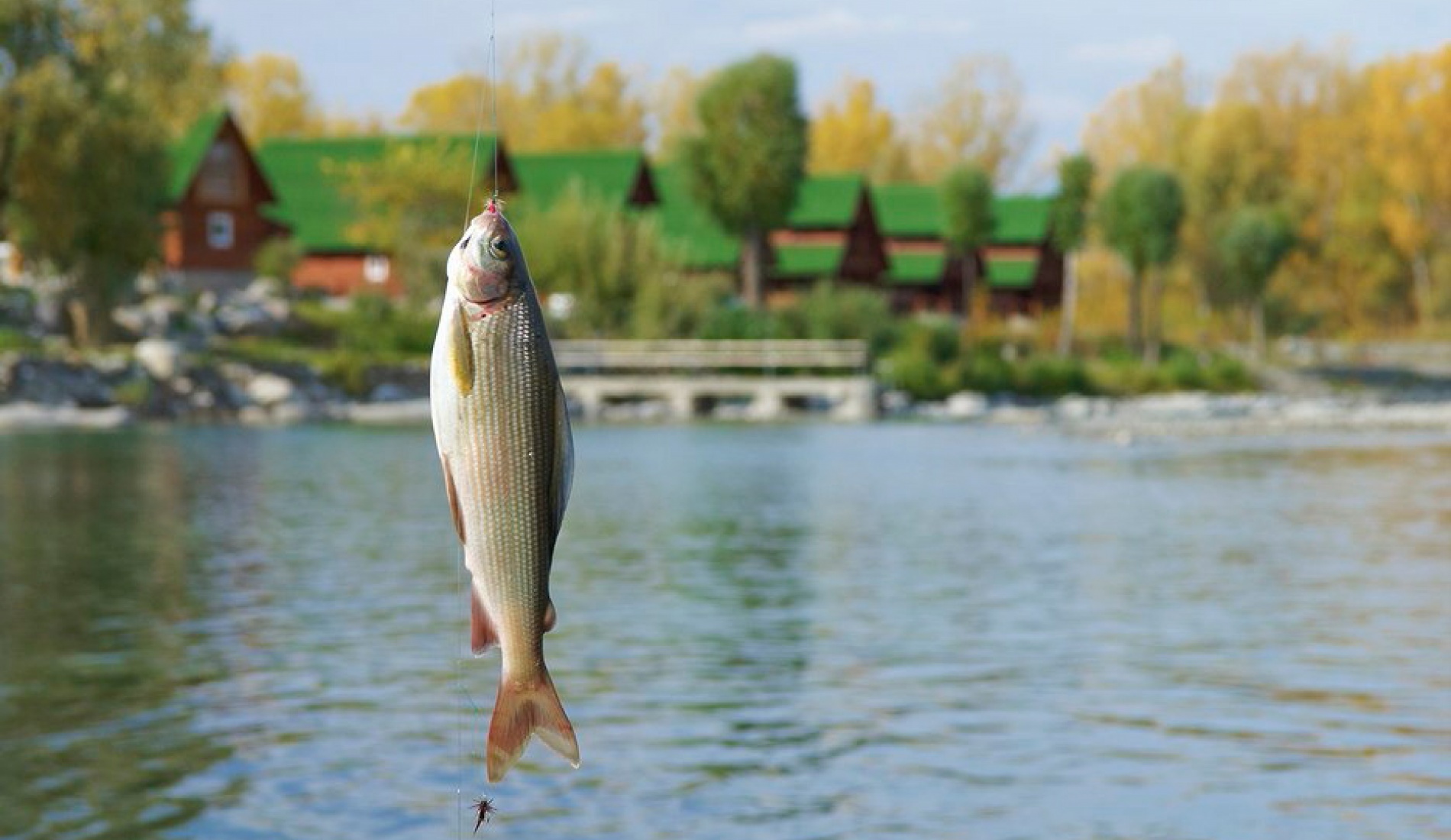 Фото Медвежий угол