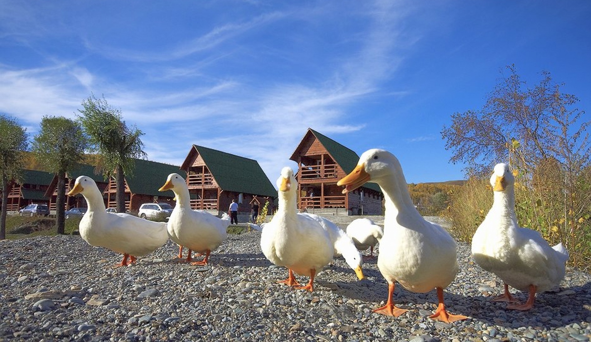 Фото Медвежий угол