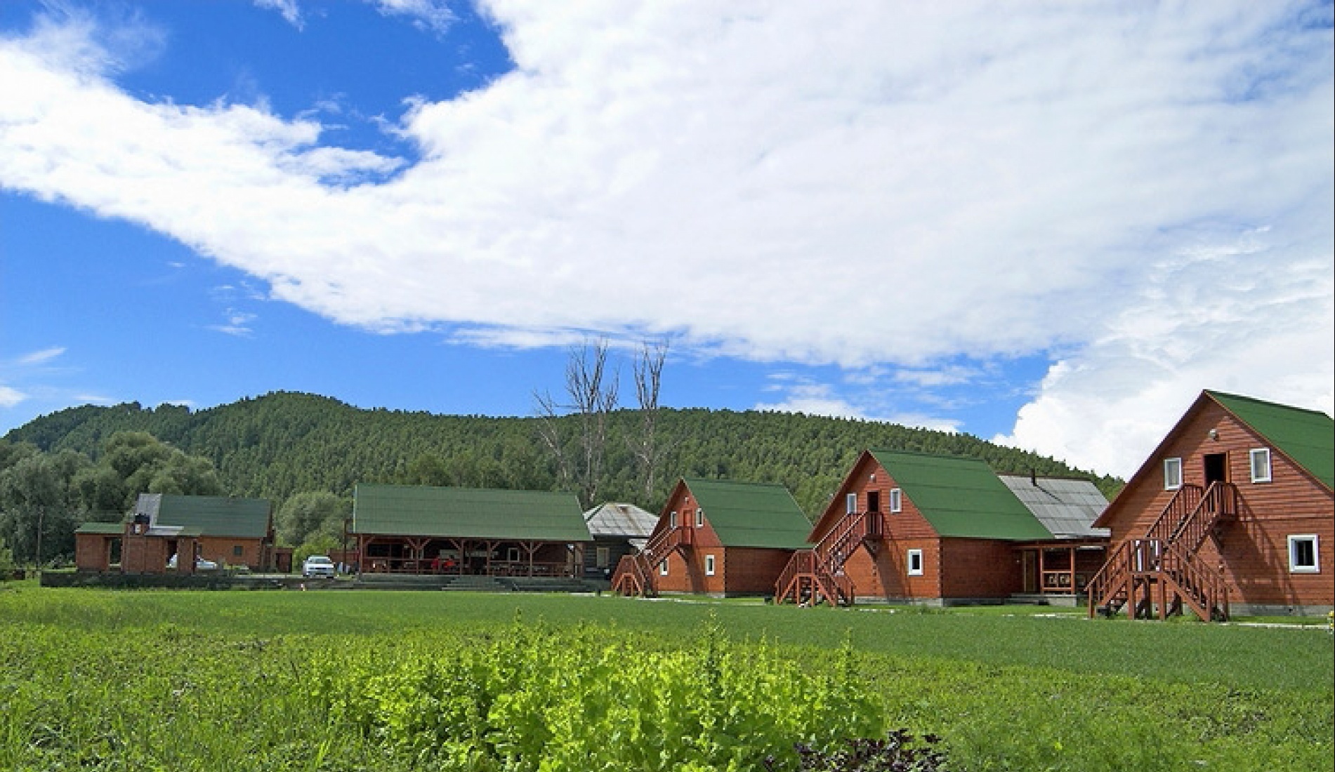 Фото Медвежий угол