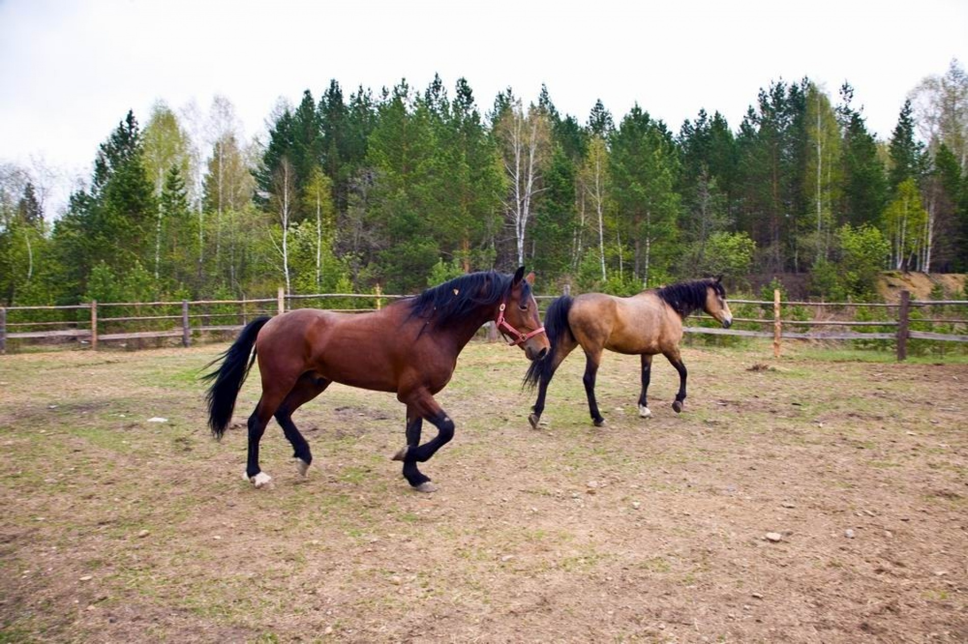 Фото Тихая заводь