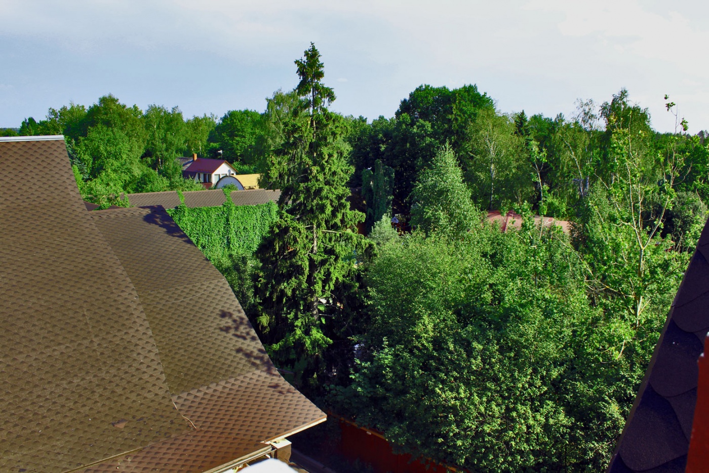 Фото Экотель Снегирёк