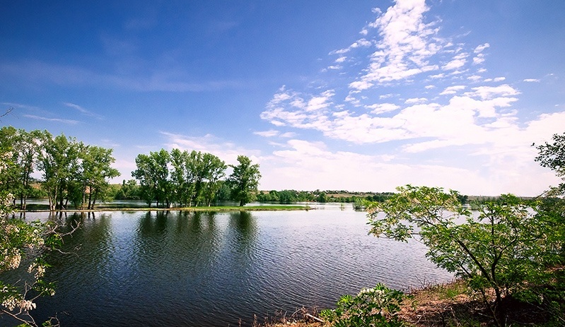 Фото Ветерок