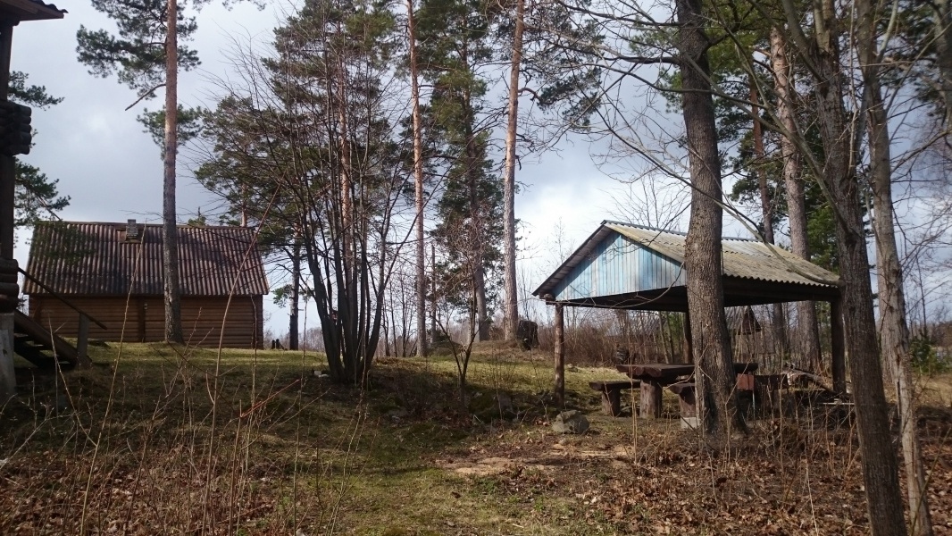 Фото Парк-отель Яркое