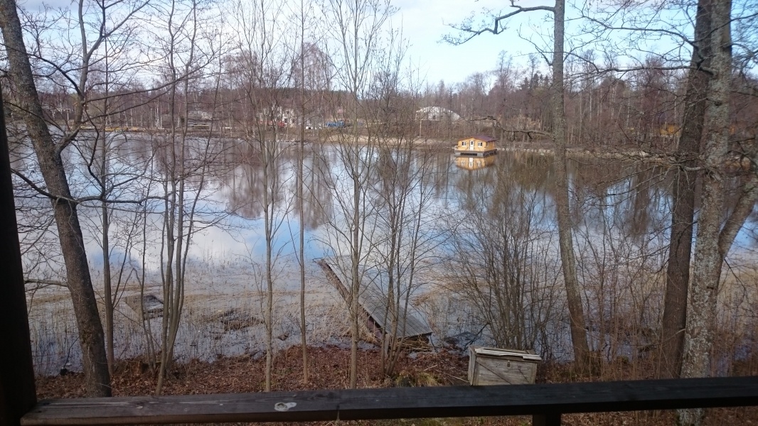 Фото Парк-отель Яркое