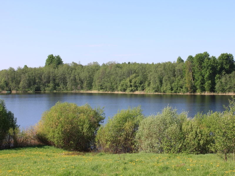 Фото Селигерская пасека