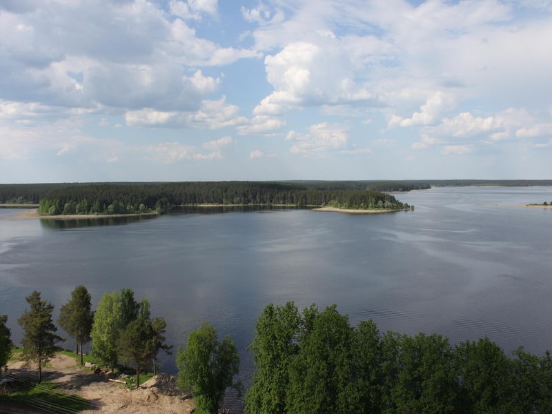 Фото Селигерская пасека