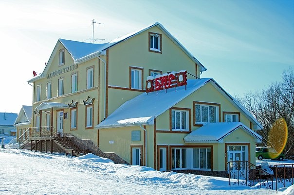 Фото Алая роза