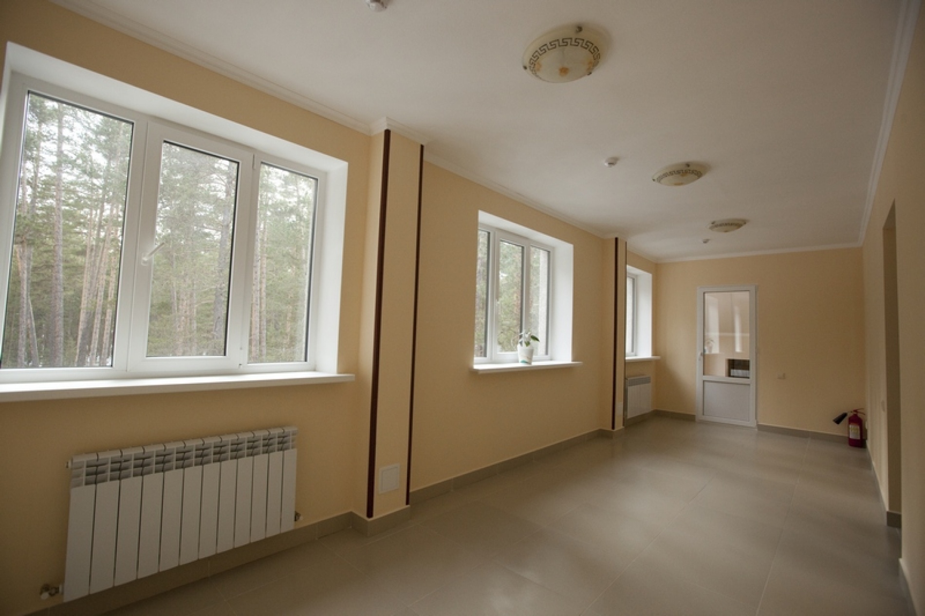 Фото Лагуна