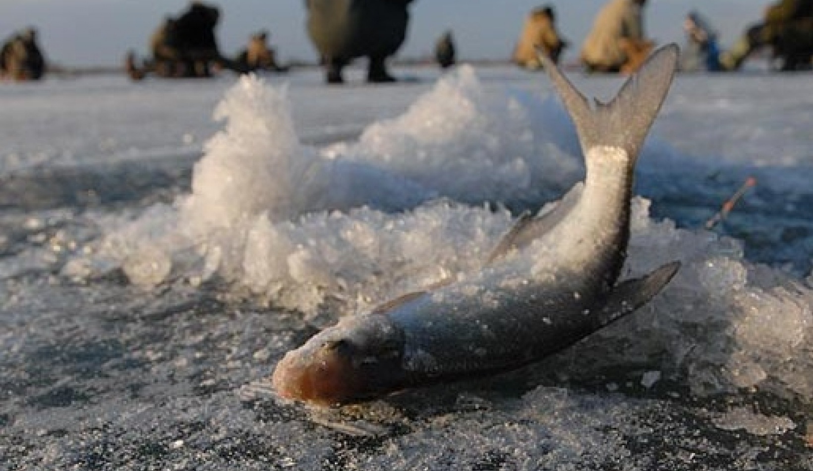 Фото Загородный клуб Мелеховъ