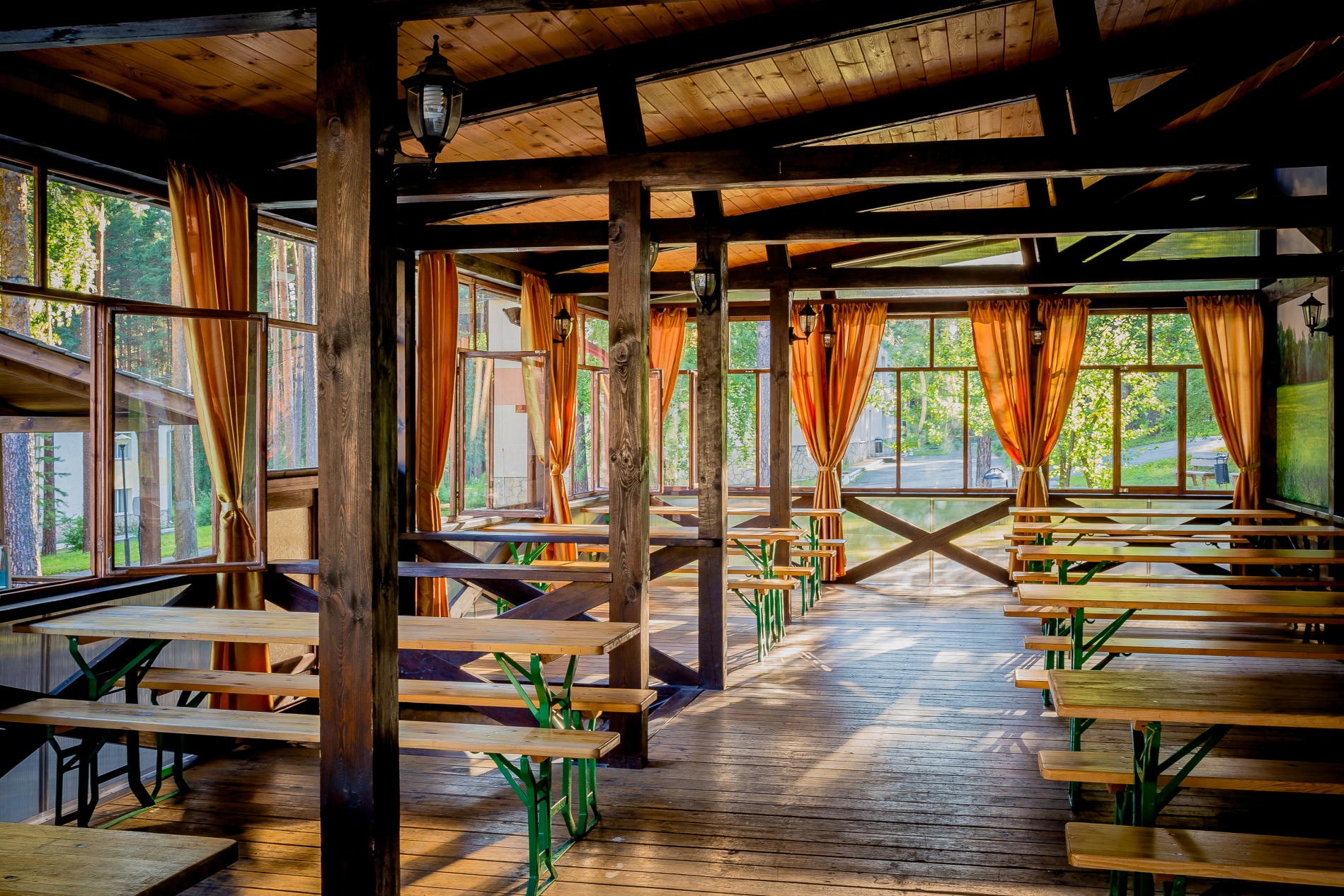 Фото Иволга