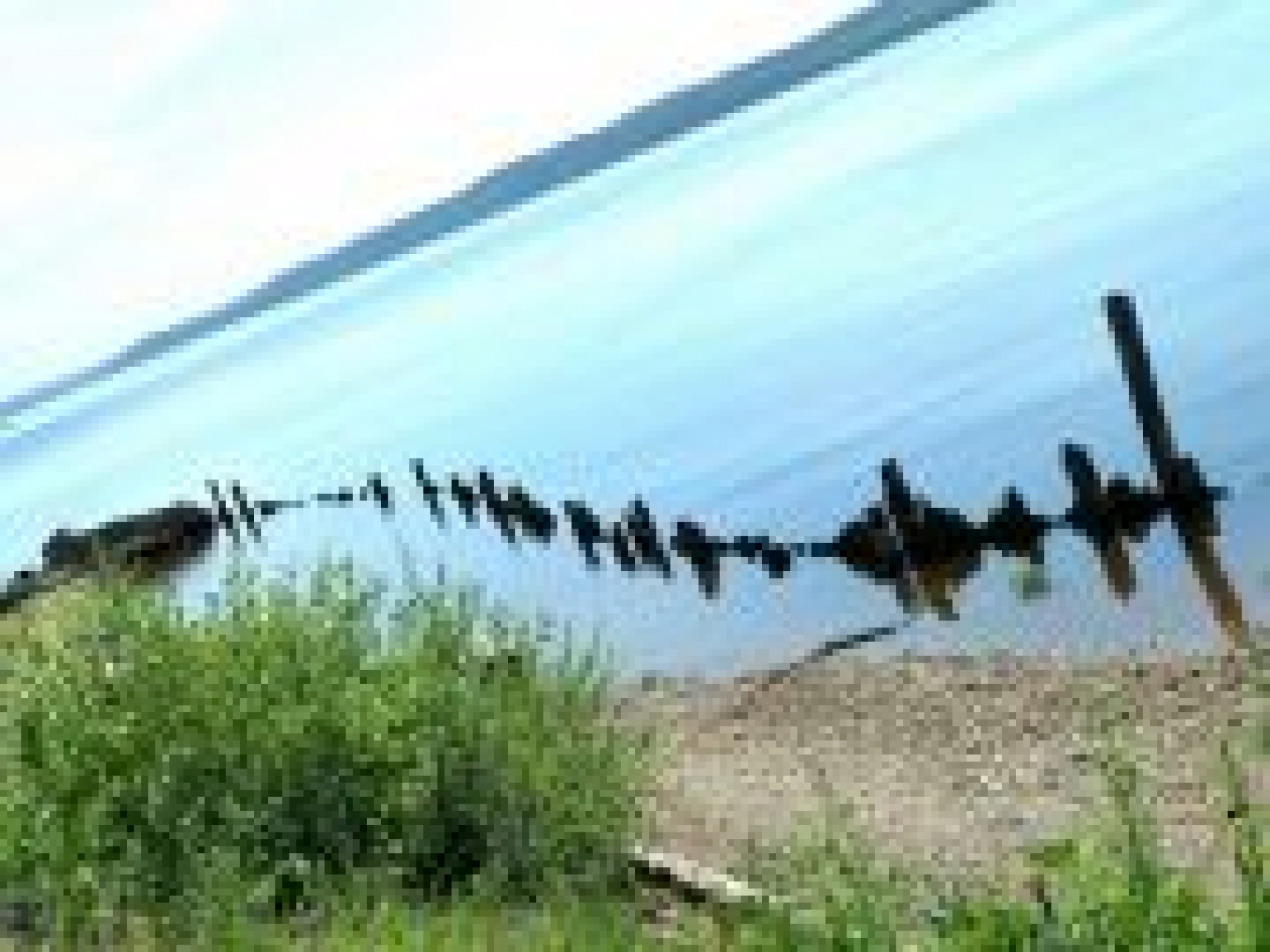 Фото Белый берег