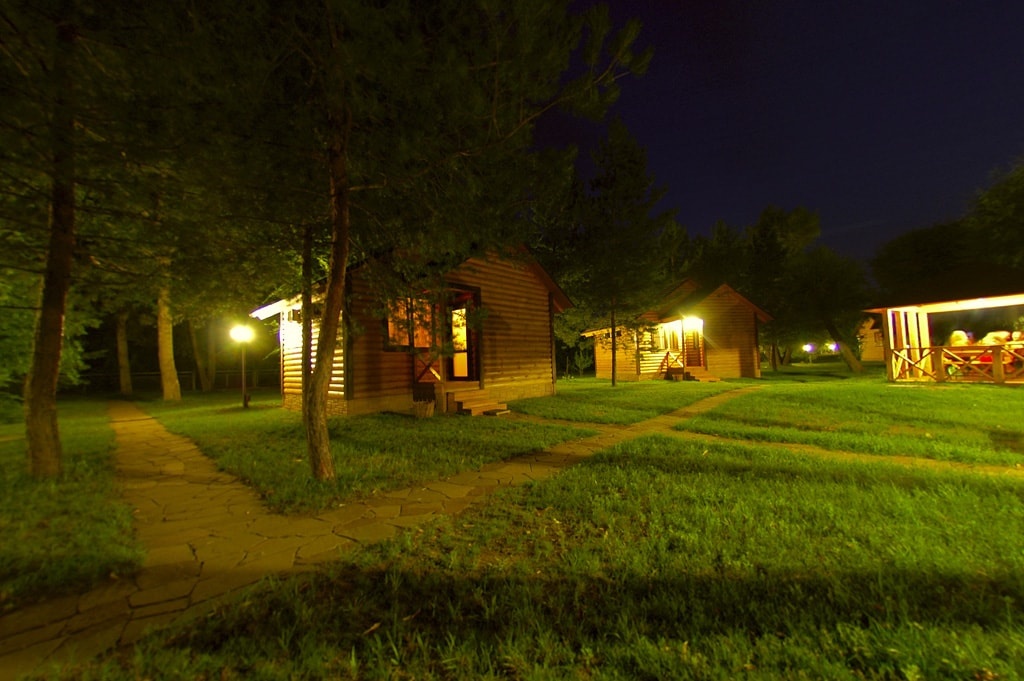 Фото Лесная