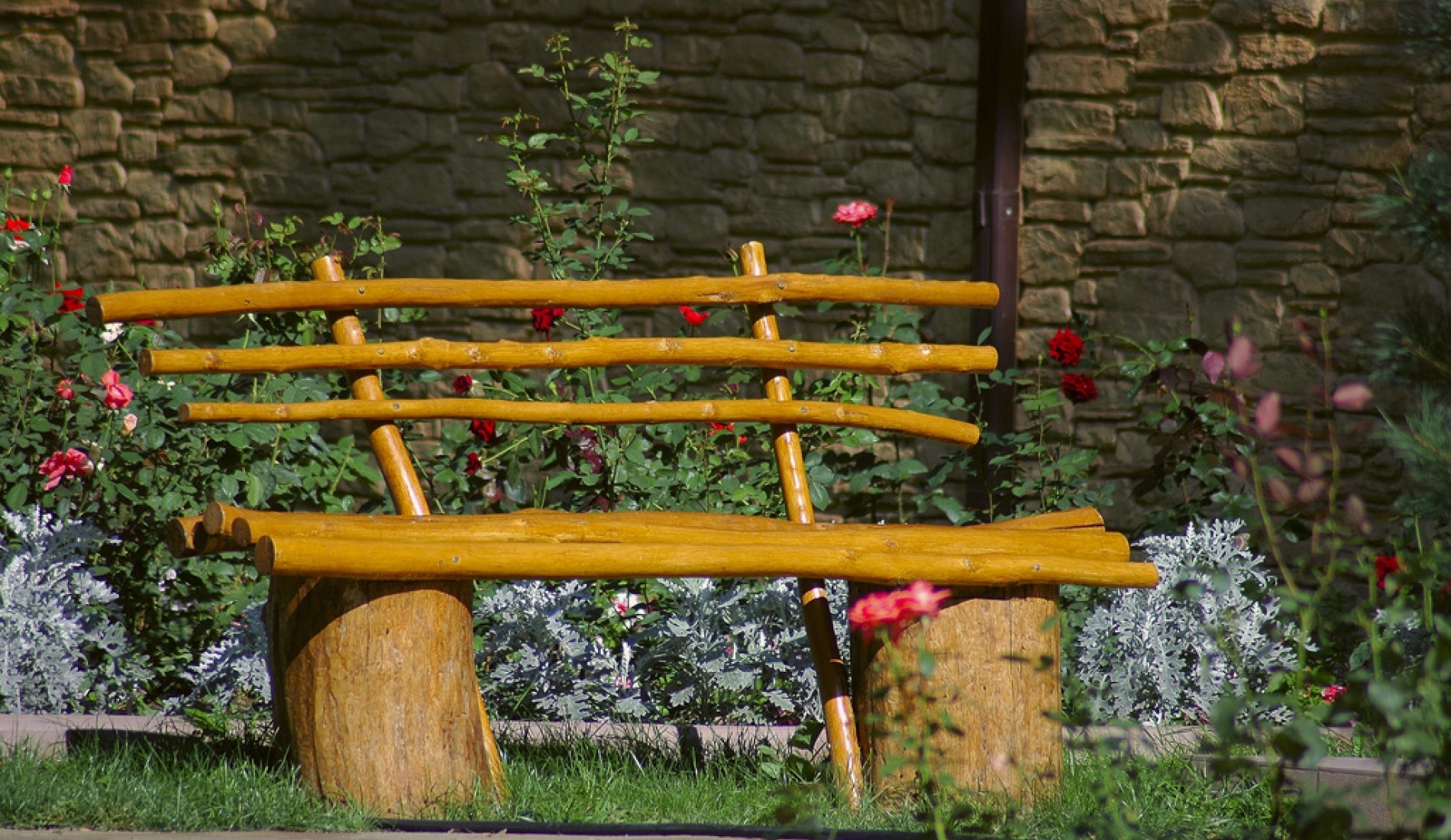 Фото Лесная