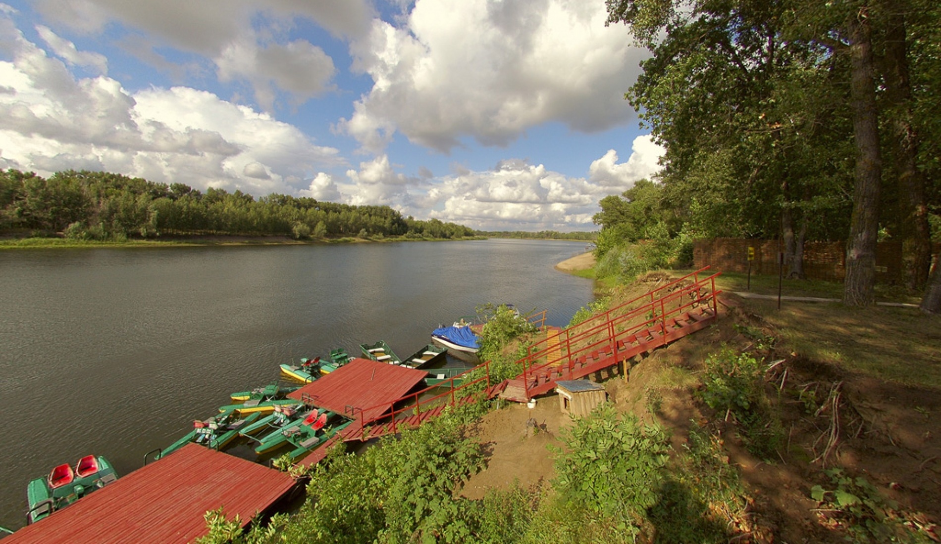 Фото Лесная