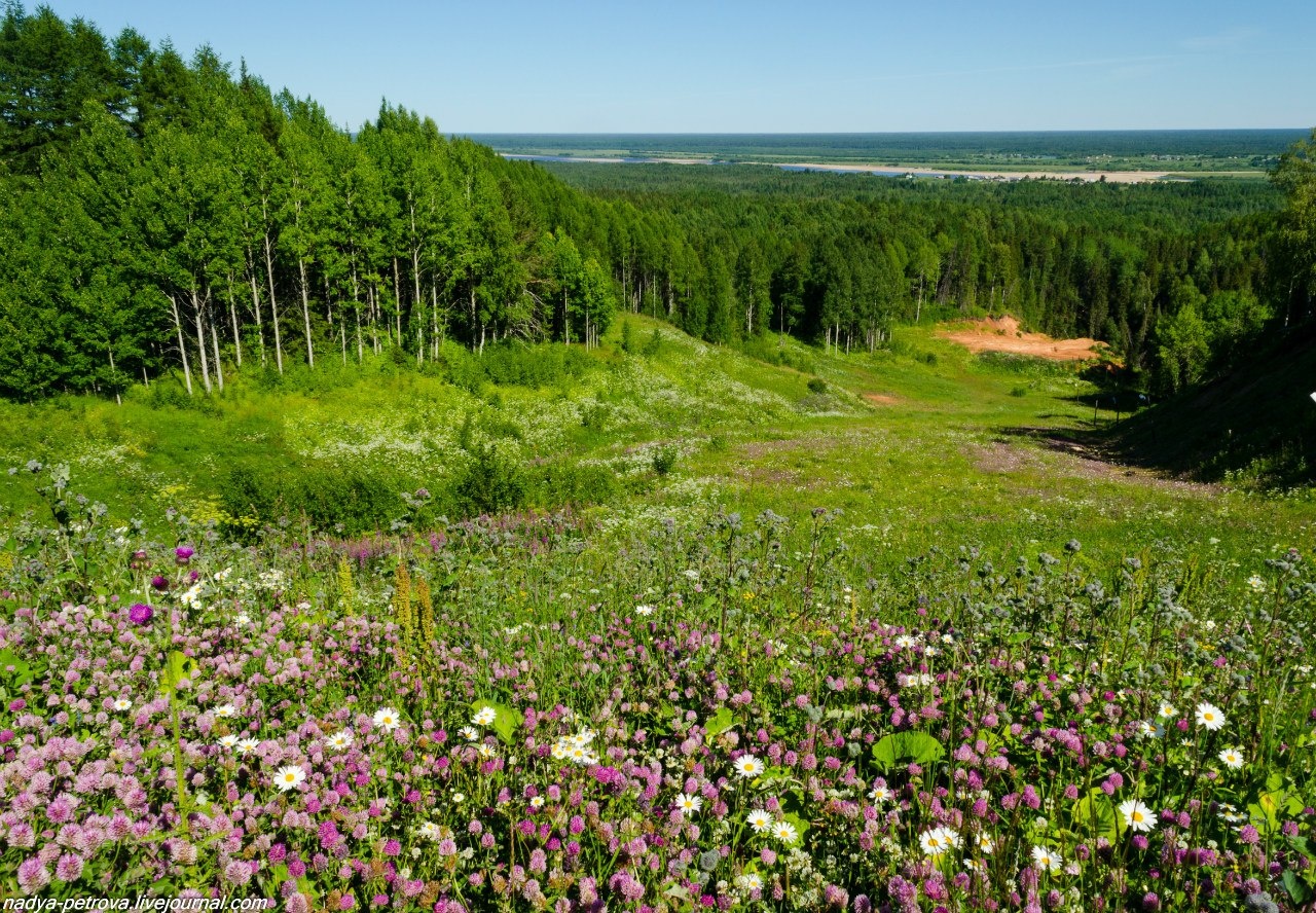 Фото Парк Голубино