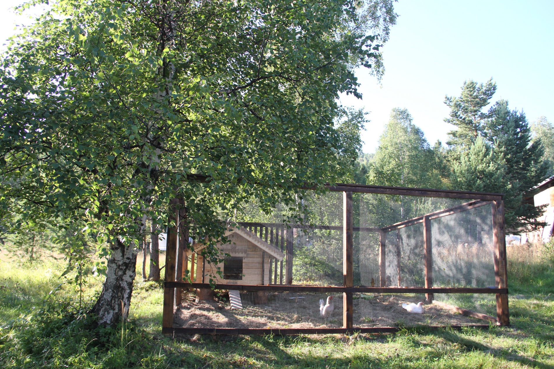 Фото Кругобайкальская