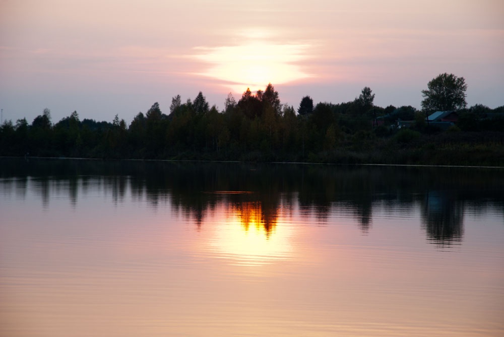 Фото Проховское подворье