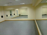 Гетера (Profesora Pidvysotskoho Street, 1/26), dance school