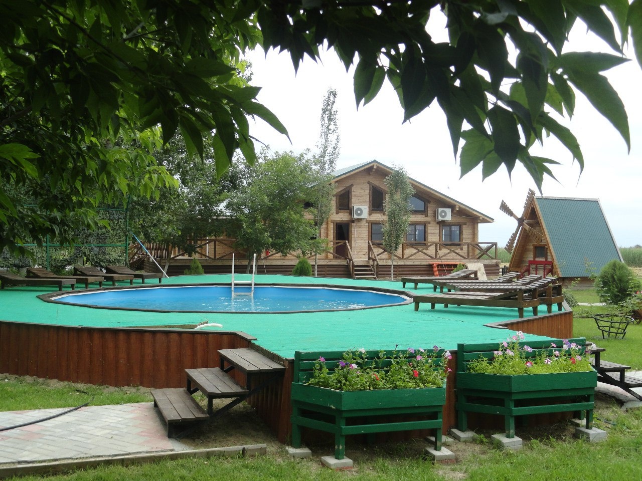 Фото Золотой Лотос