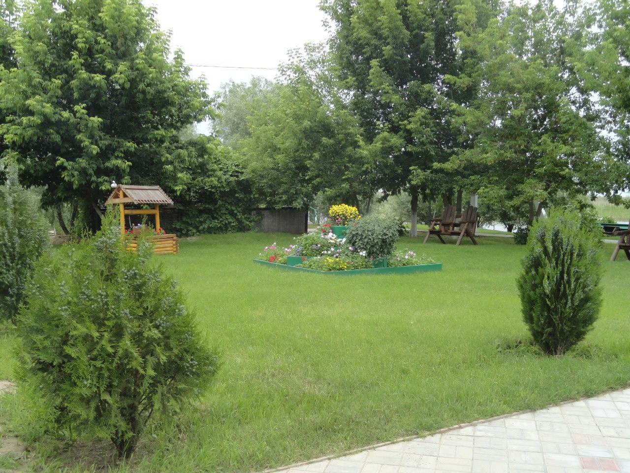 Фото Золотой Лотос