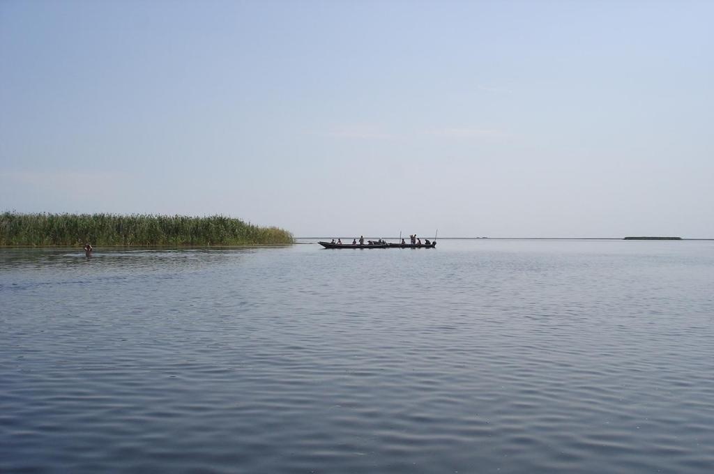 Фото Золотой Лотос