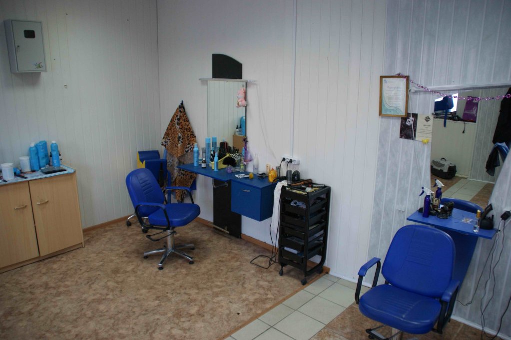 Фото Цезарь