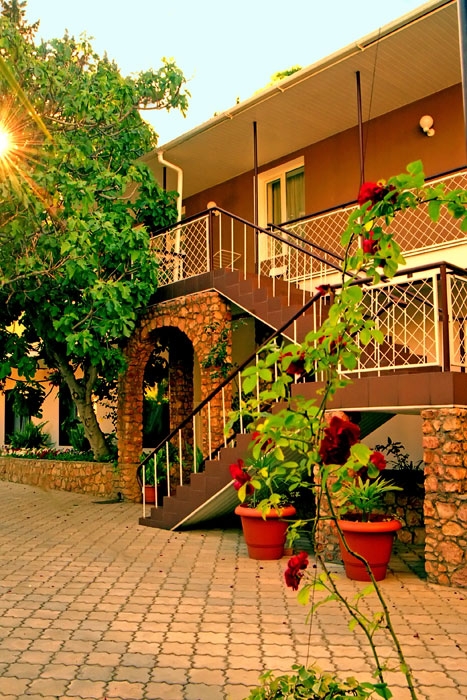 Фото Спарта