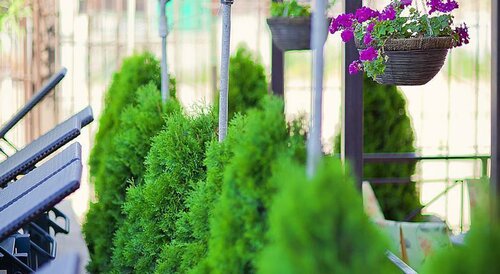 Дом в аренду Бонжур в Сукко