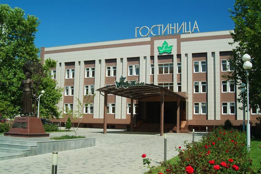 Фото Платан