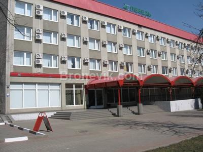 Фото Лебедь