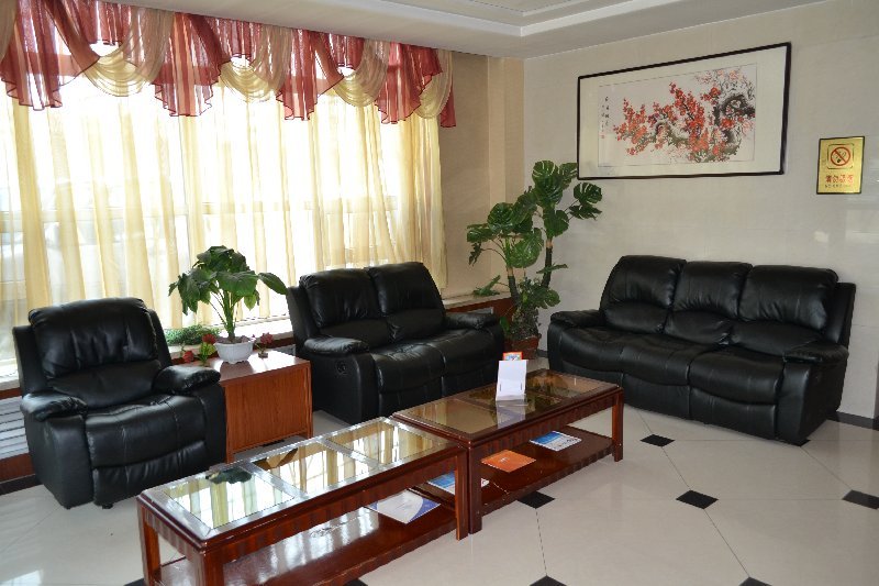 Фото Золотой Дракон