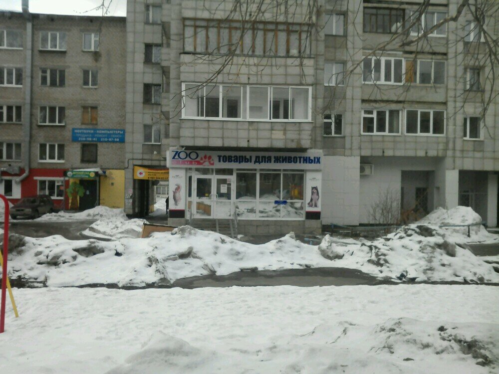 Zooclub Пермь Магазин