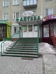 Apteka Puls (ulitsa Lelyukha, 13), pharmacy