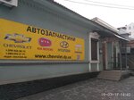 Avtozapchasti Chevrolet (Sichovykh Striltsiv Street, 12), tienda de repuestos y artículos para automóviles