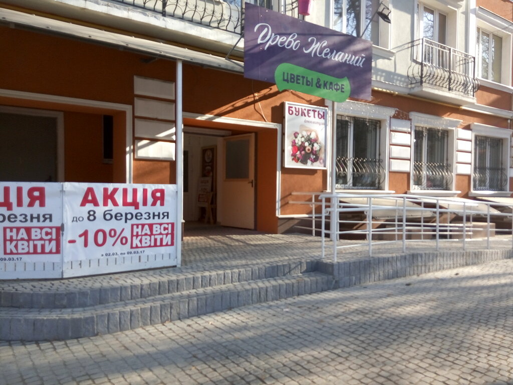 Flower shop Drevo Jelaniy, Sumy, photo