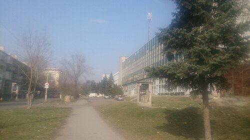 Порно көріп отырған ит пен қыз