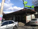 Эдем (Barykadna Street, 2), flower shop