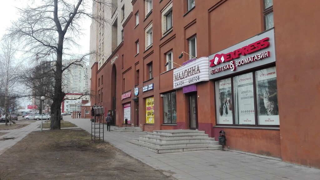 Магазин Мадонна В Спб Каталог Товаров