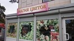 Магия цветов (ulitsa Akademika Yangelya, 29) ، محل زهور