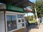 Magazin tsvetov (Gazety Krasnoyarskiy Rabochiy Avenue, 14А) ، محل زهور