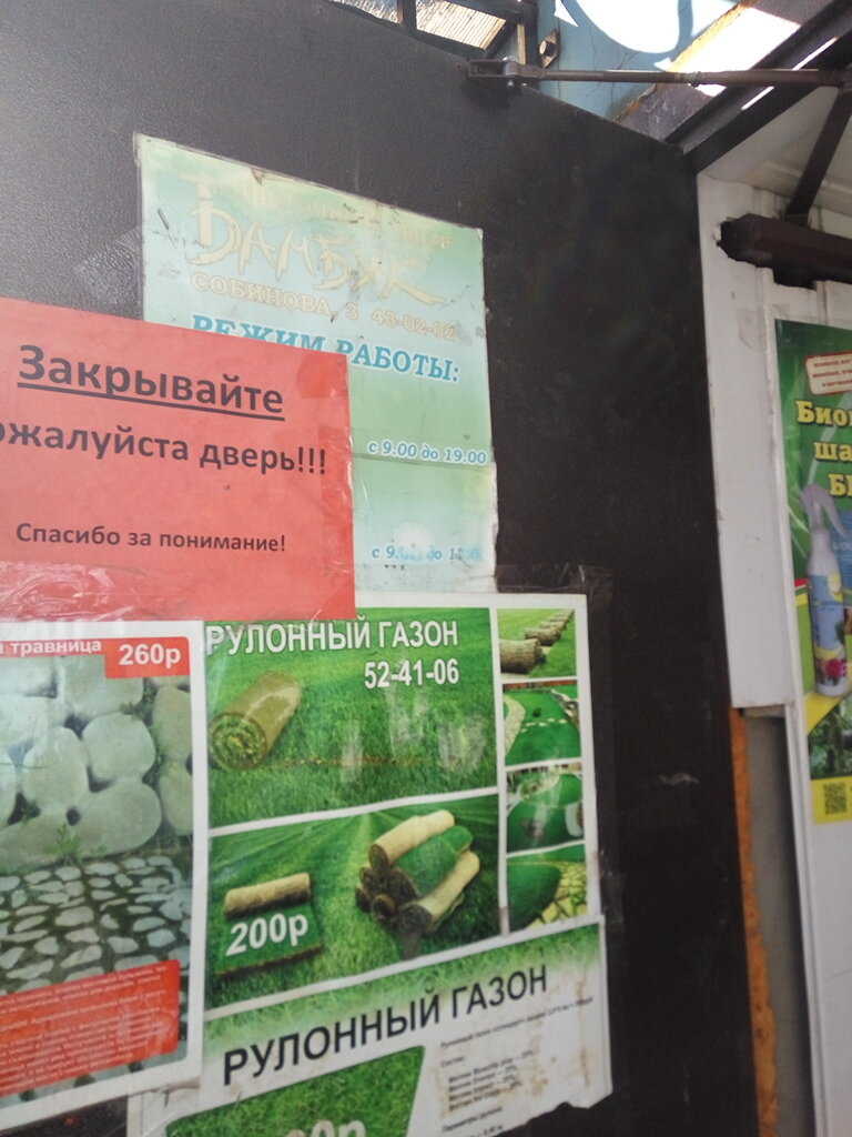 Магазин Бамбук Тамбов Официальный Сайт