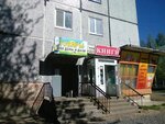 Tovary dlya doma i dachi (ulitsa Trukhinova, 4), household goods and chemicals shop