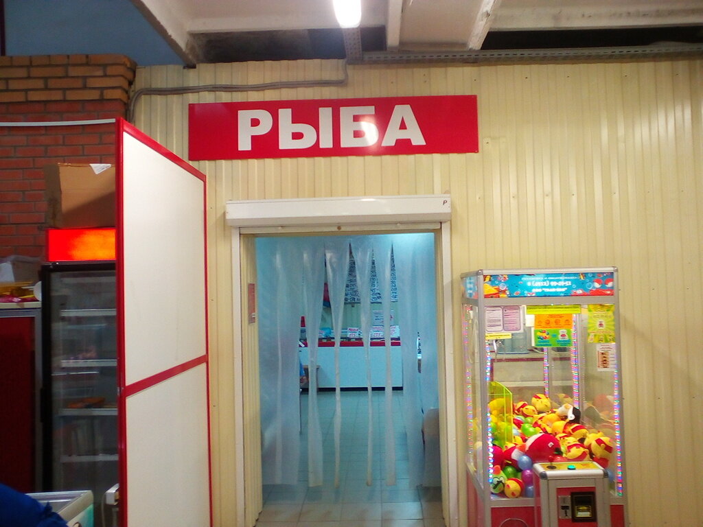 Номер Телефона Магазин Рыбок
